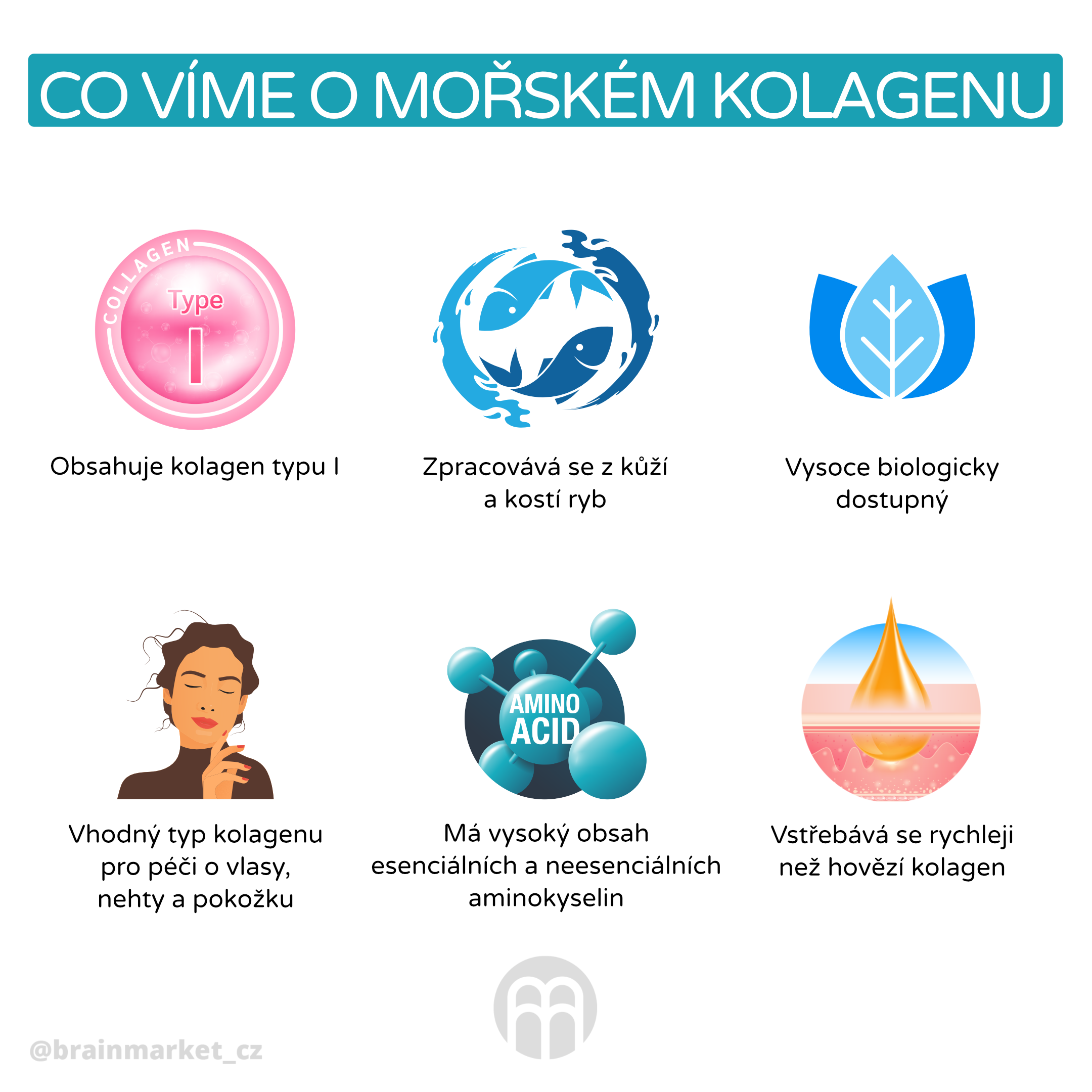 vo víme o morskem kolagenu_infografika_cz